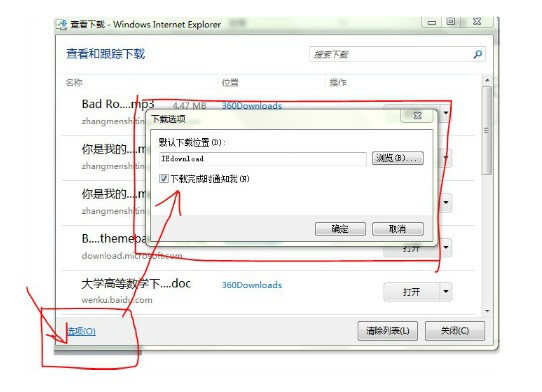 IE9电脑版