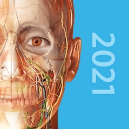 human anatomy atlas2021中文版