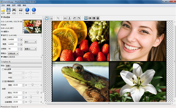 Benvista PhotoZoom Classic