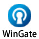 WinGate官方版 v9.4.1官方正式版