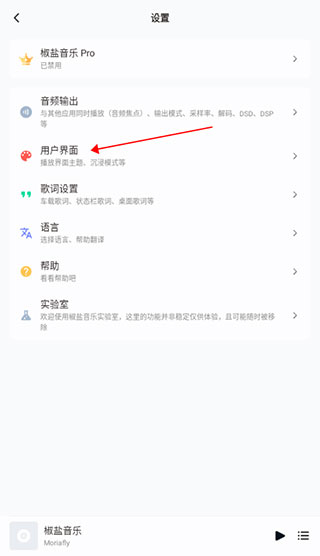 2024椒盐音乐app(salt player)