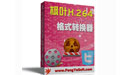 枫叶H.264格式转换器