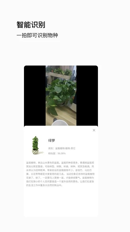 唞蜗app官方版