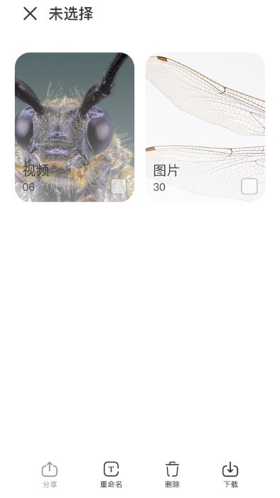 阿蛋科学探索软件