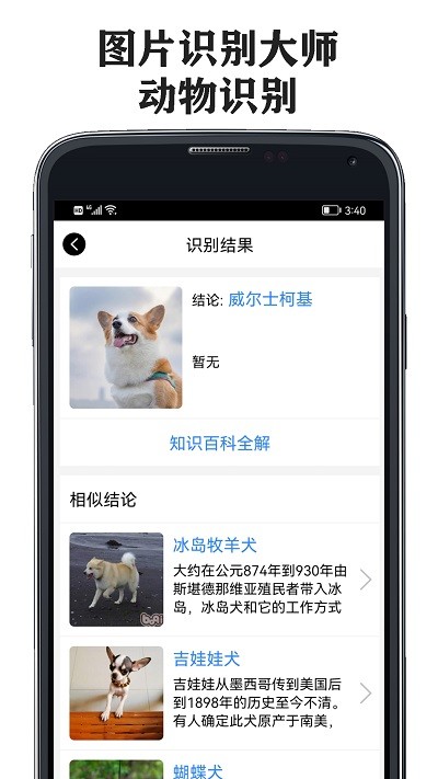 图片识别大师软件