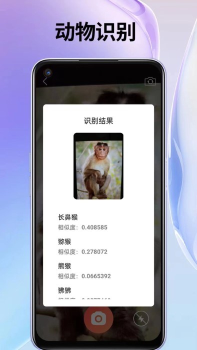 叮叮袋官方版