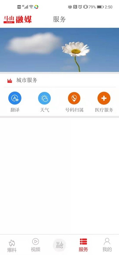 马山融媒app