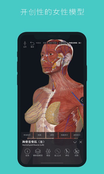 人体3d立体解剖软件