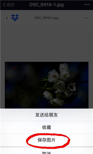 dropbox官方版