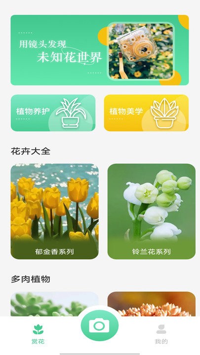 拍照识别植物弛意版app