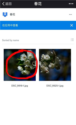 dropbox官方版