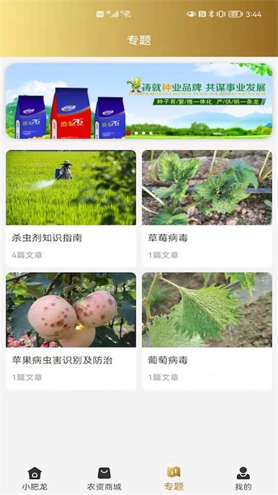 小肥龙app