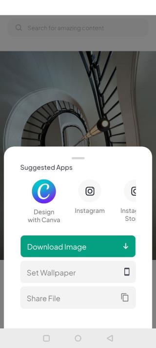 pexels视频素材app软件