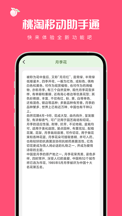 桃淘移动助手通官方版