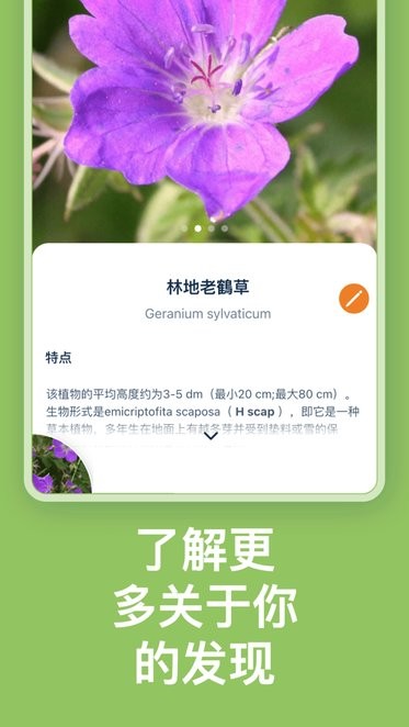 flora incognita app自动植物识别免费版