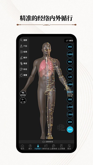 中医经络腧穴app(改名针灸大师)