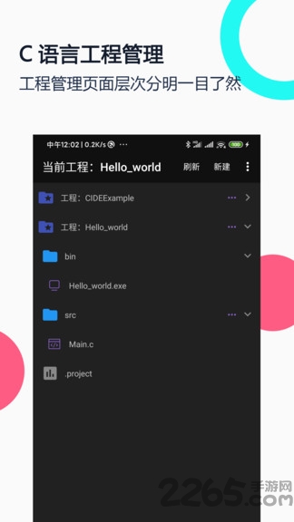 c语言编译器ideapp最新版