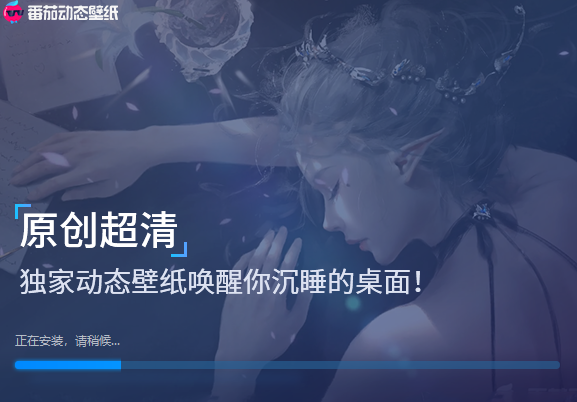 番茄动态壁纸最新版