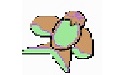 KiteQuit