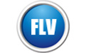 闪电FLV视频转换器电脑版