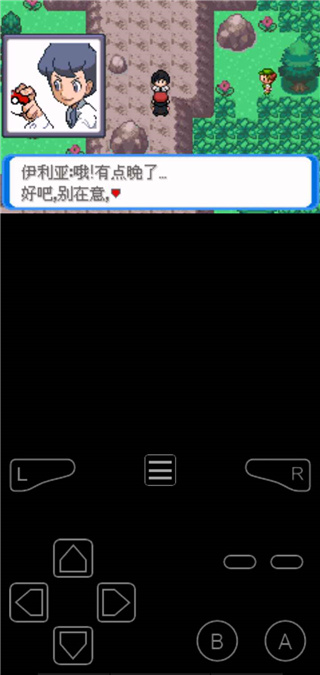 口袋妖怪决心汉化版
