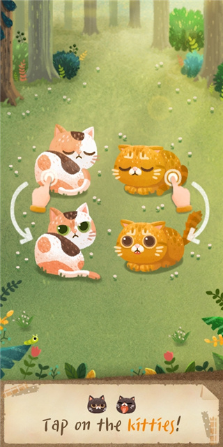 猫咪密林中文版(猫咪的秘密森林)