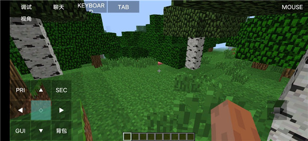 Minecraft Java版手机版