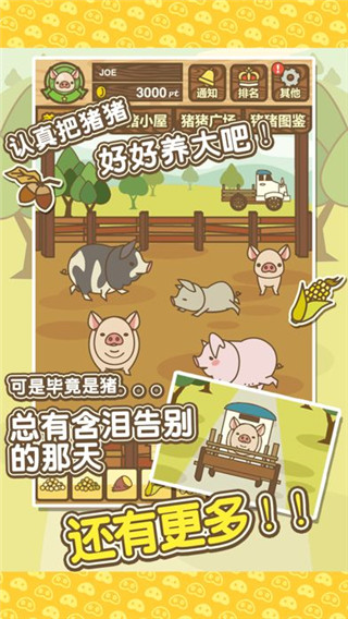 养猪场mix最新版