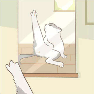遇见你的猫国际服