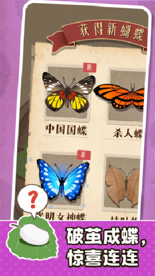 小小养蚕师官方最新版