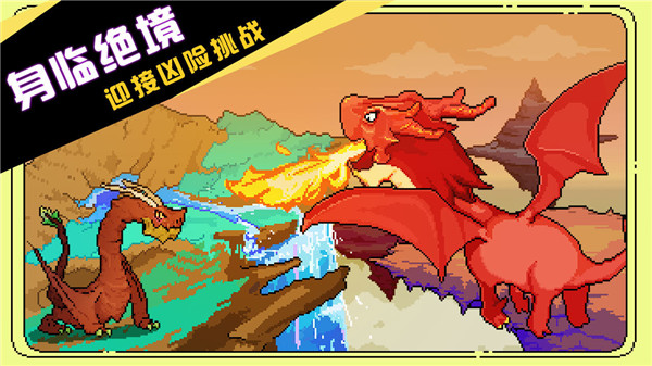 驯龙师的契约官方正版