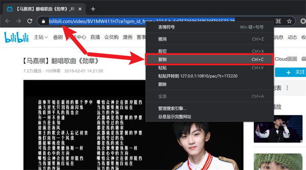 CR TubeGet破解版