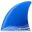 wireshark32位中文版 v4.2.3