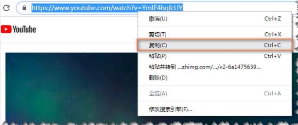 CR TubeGet破解版