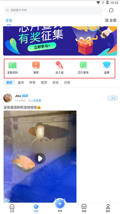 龙巅app官方版