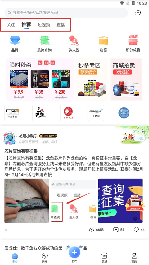 龙巅app官方版