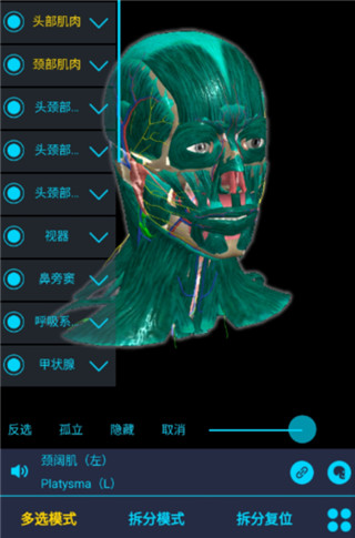 医维度解剖app