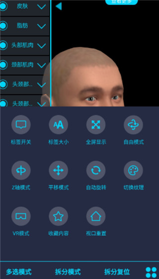 医维度解剖app