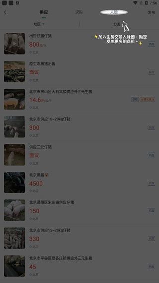 猪邦忙找工作app