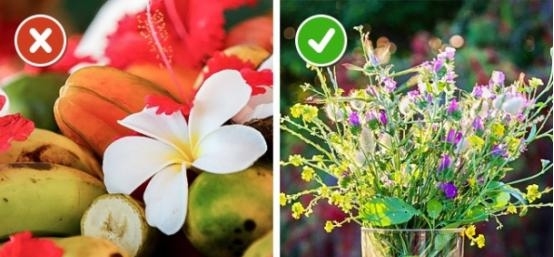 娟蝶鲜花app