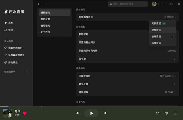 汽水音乐电脑版