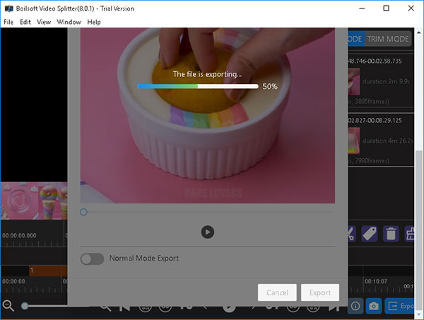 Boilsoft Video Splitter(视频分割软件)