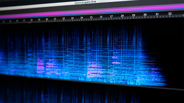 Cubase pro 11中文版