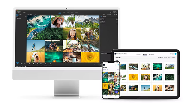 Adobe Premiere Elements 2024中文版