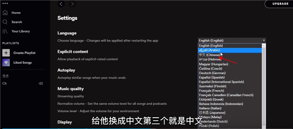 spotify电脑版