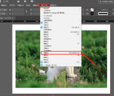 adobe indesign 2022简体中文版