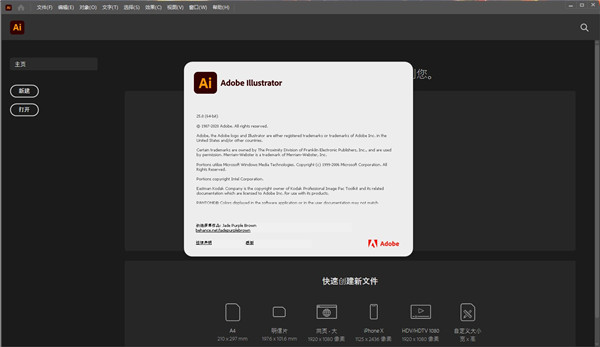 adobe illustrator 2021中文版