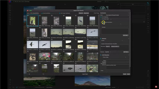 ON1 Photo RAW 2024中文版