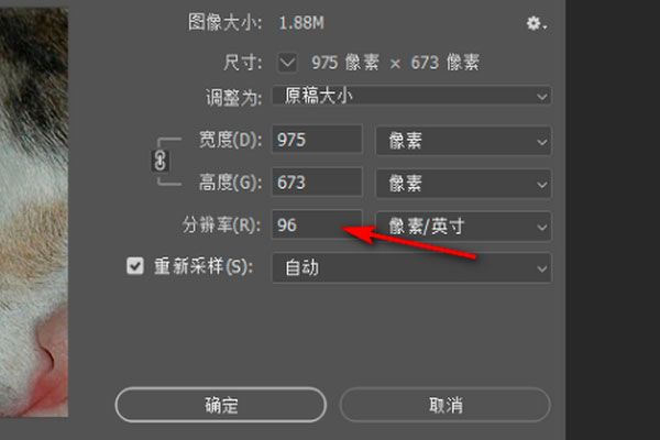 Photoshop 2020中文破解版
