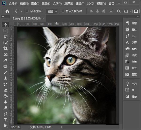 Photoshop2024中文破解版